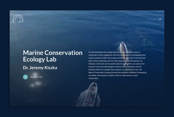 web design for the marine conservation ecology lab by marketing agency regular animal
