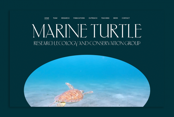 web design marine turtle group by marketing agency regular animal