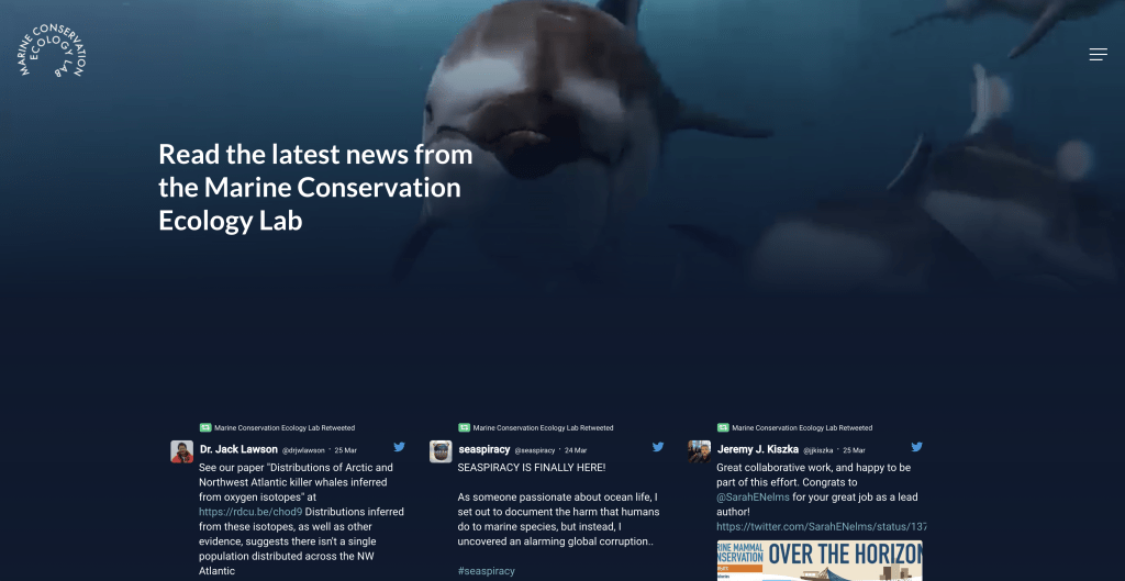 Web Design Marine Conservation Ecology Lab — Regular Animal