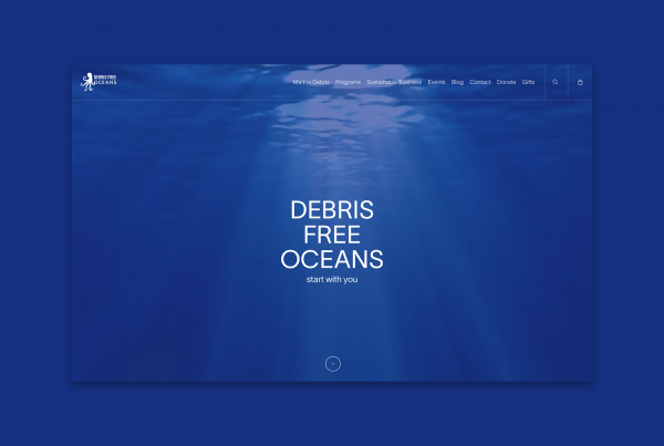 Responsive web design for Debris Free Oceans by Regular Animal