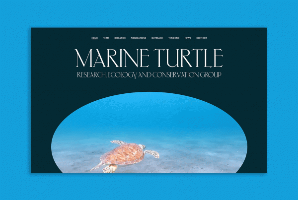 Responsive homepage design for Marine Turtle Research, Ecology, and Conservation Group by Regular Animal
