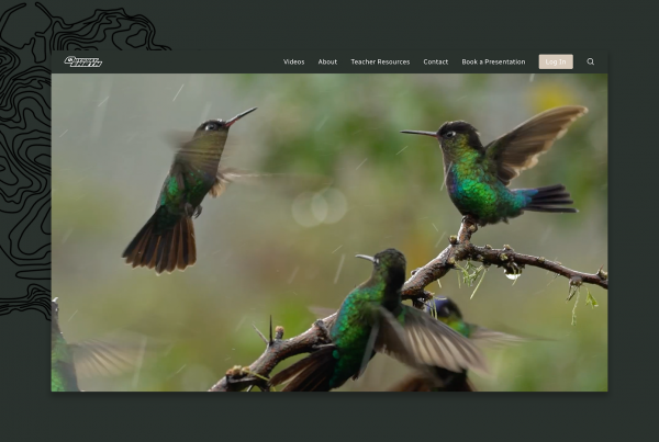 Homepage responsive web design for Odyssey Earth by Miami marketing agency, Regular Animal
