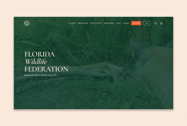 florida wildlife federation website